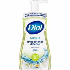 Dial Complete Foam Hand Wash Pump